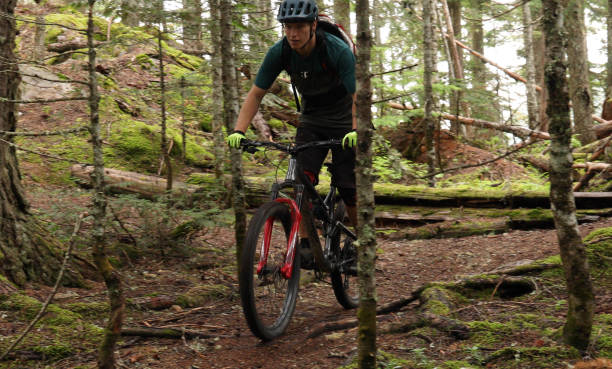 istock Male mountain biker follows trail through forest 1167057558