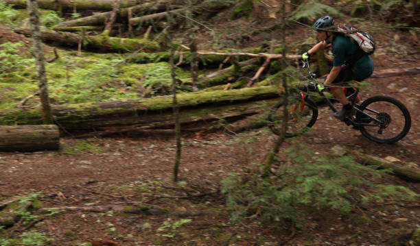 istock Male mountain biker follows trail through forest 1167057565