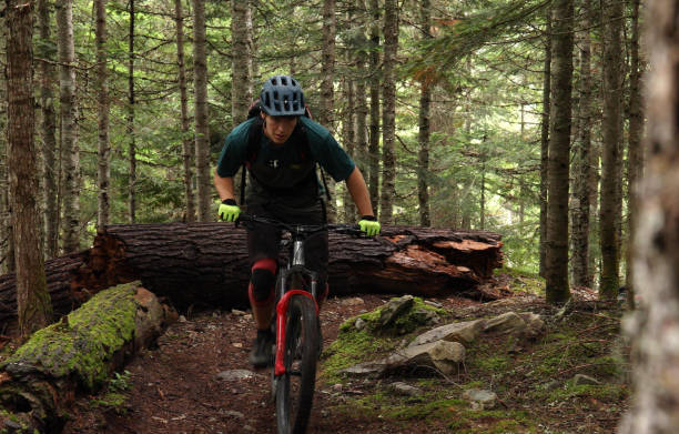 istock Male mountain biker follows trail through forest 1167057567