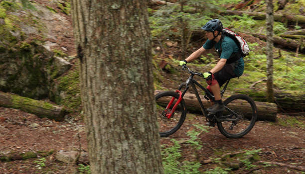 istock Male mountain biker follows trail through forest 1167057578