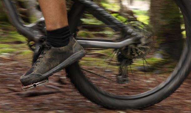 istock Male mountain biker follows trail through forest 1167057588
