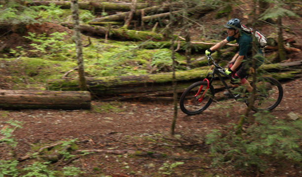 istock Male mountain biker follows trail through forest 1167057589