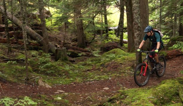 istock Male mountain biker follows trail through forest 1167057595