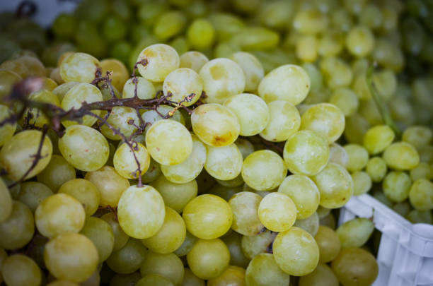 istock fresh grapes within the local market in Naples 1167057654