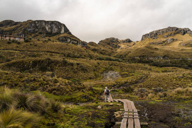 Distant men walking on boardwalk in the landscape of National park Las Cajas Mountains in Ecuador close to Cuenca city on 3850 altitude.