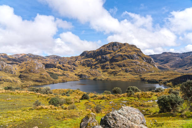 istock National Park  Las Cajas Mountains 1167058785