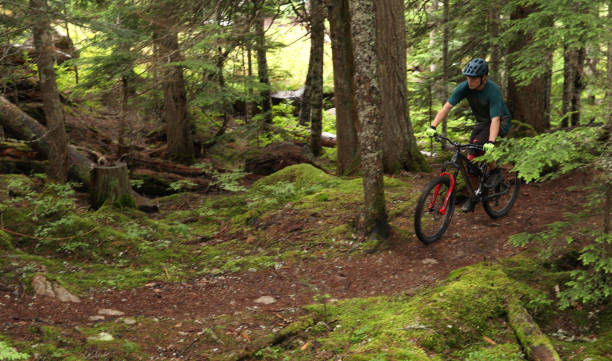 istock Male mountain biker follows trail through forest 1167059021