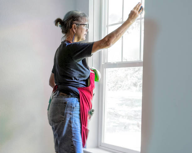 istock Woman Cleaning windows 1167060648
