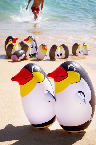 istock two blow up penguin toys on a sandy beach 1167064551