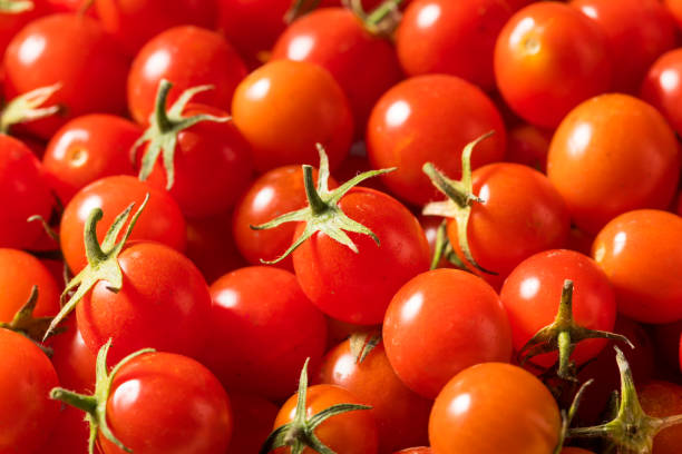 istock Raw Organic Heirloom Cherry Tomatoes 1167065370