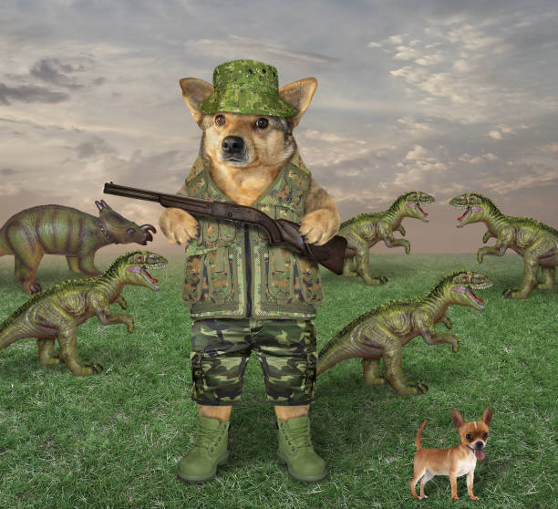 istock Dog with a rifle grazes dragons 1167065760