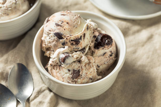 istock Homemade Moose Tracks Ice Cream 1167065966