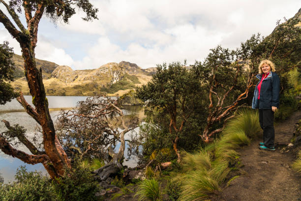 istock National Park  Las Cajas Mountains 1167066058