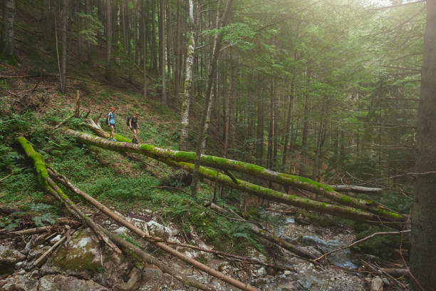 istock Brave women walking on a fallen tree trunk! 1167066612