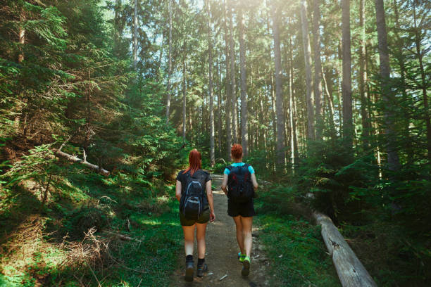 istock Walking together in the beautiful forest light 1167066633