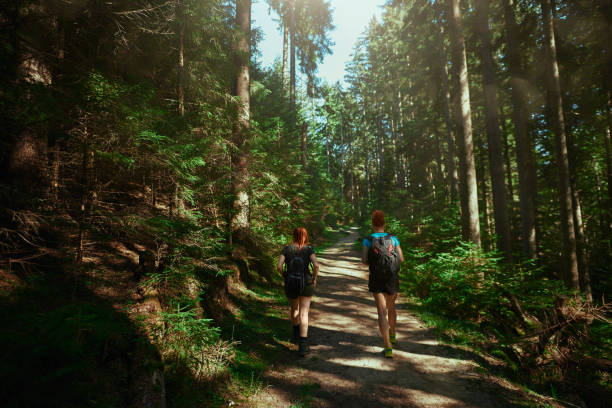 istock Friends and beautiful shadows in the forest 1167066644
