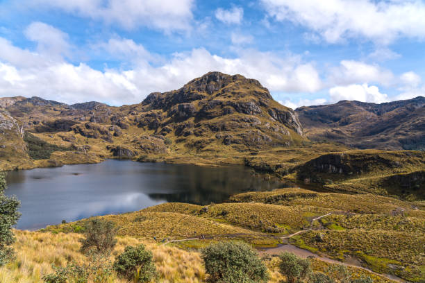istock National Park  Las Cajas Mountains 1167067222
