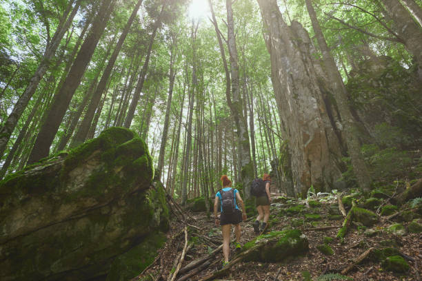 istock Climbing together in the forest 1167067463