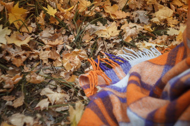 istock Top view of a checkered bright woolen plaid falls into autumn fallen maple foliage, a cozy autumn concept, selective focus 1167070072
