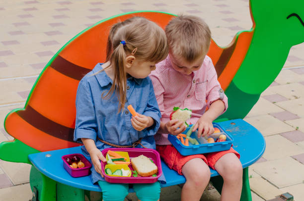 Girl and boy preschool students eating their lunches Healthy food concept. Girl and boy preschool students eating their lunches of sandwich, fresh vegetables and berries from lunch boxes sitting outdoor. packed lunch photos stock pictures, royalty-free photos & images