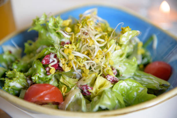 Fresh salad with sprouts, \nlolo rosso, lettuce and tomato