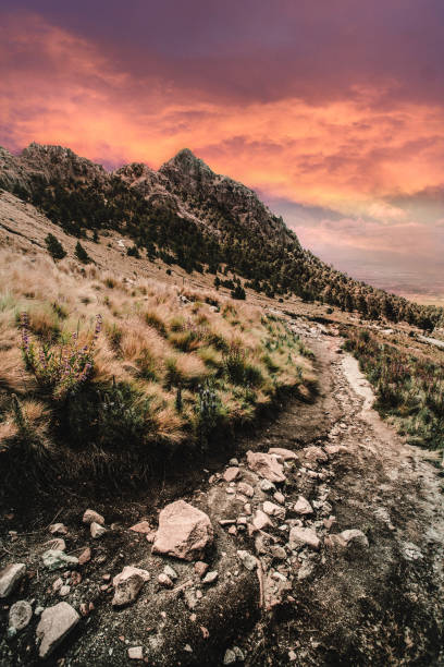 A view from close to the summit of La Malinche, a volcano in Puebla State, Mexico, at sunset.