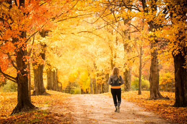 istock Walking down a pretty country lane in Autumn 1167088601