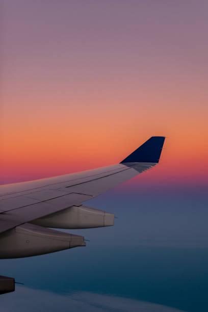 istock Flying in sunrise pastel tones 1167088893