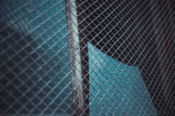 istock Metallic chain fence with small loops in an urban scenery 1167092666