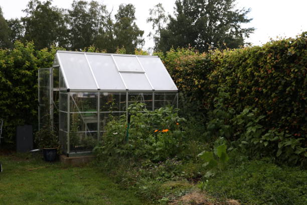 istock greenhouse in the garden 1167094109