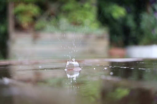 raindrops dripping into a puddle of water on a wooden deck