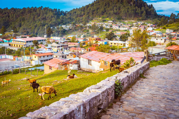 istock hiking to Cuajimoloya in Oaxaca, Mexico 1167095283