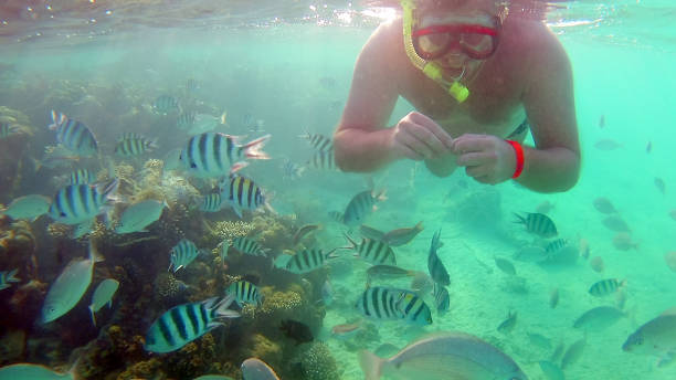 hombre alimenta a los peces bajo el agua en una máscara para bucear en el mar rojo - vitality sea aquatic atoll fotografías e imágenes de stock