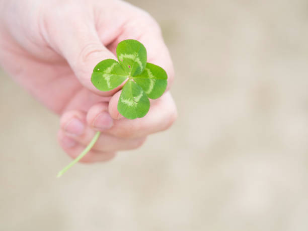 istock Green our leaf clover in a man's hand. 1167097959