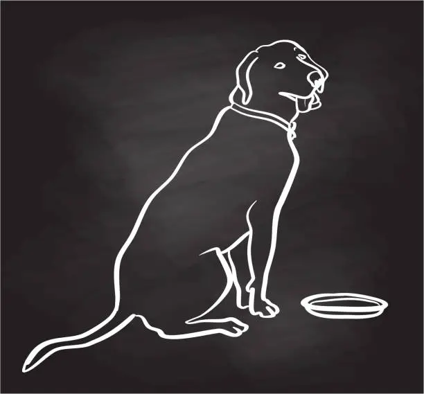 Vector illustration of Happy Dog Sitting Chalkboard