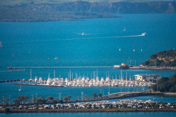 istock Auckland City Distant View 1167100195