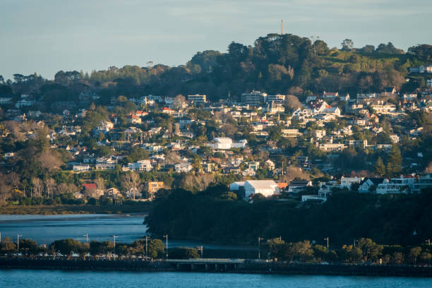 istock Auckland City Distant View 1167100336