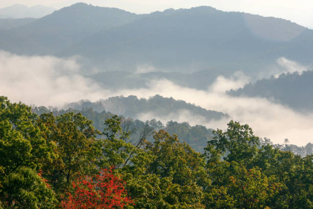 Fog covered mountains in the Great Smoky Mountain National Park. Early morning on the Foothills Parkway in Tennessee in the Great Smoky Mountain National Park foothills parkway photos stock pictures, royalty-free photos & images
