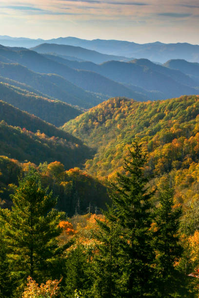 istock Rolling hills landscape in the early autumn. 1167101270