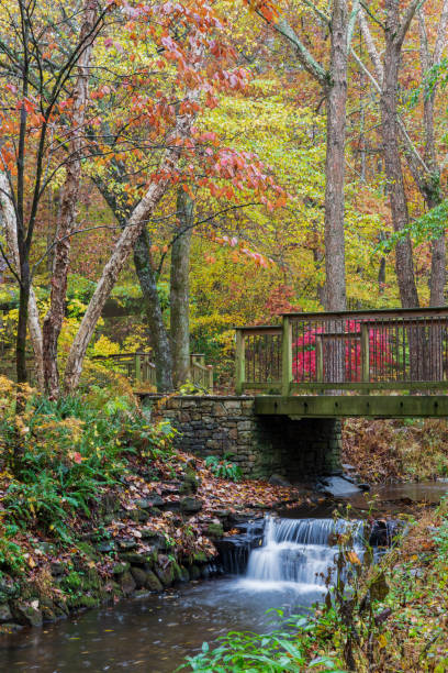 istock Colorful autumn foliage surrounded by a bridge and waterfall. 1167101280