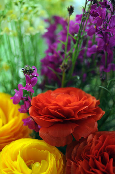 istock mix of flower 1167105445