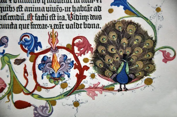 Detail of page from a facsimile of the 1455 Gutenberg Bible, the first printed version of the Latin Vulgate.