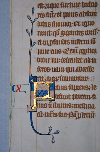 Detail of a letter on a page from a 14th Century Latin Vulgate Bible, written in England on vellum.The capital letter is illuminated with gold and decorated with white tracery. (Fragment 13) From the Reed Rare Books Collection in Dunedin, New Zealand.