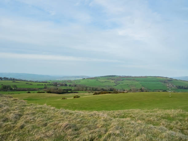 istock landscape of golf course in uk 1167108653