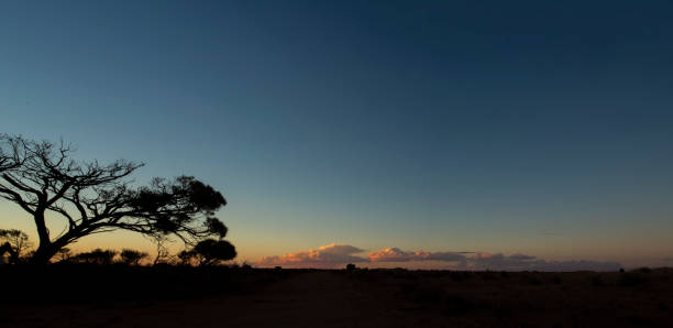 istock Tree in Silhouette at Sunrise in the Australian Desert 1167117556