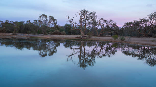 istock Dramatic sky, trees in silhouette and reflections on water at dawn in the Australian Outback 1167117622