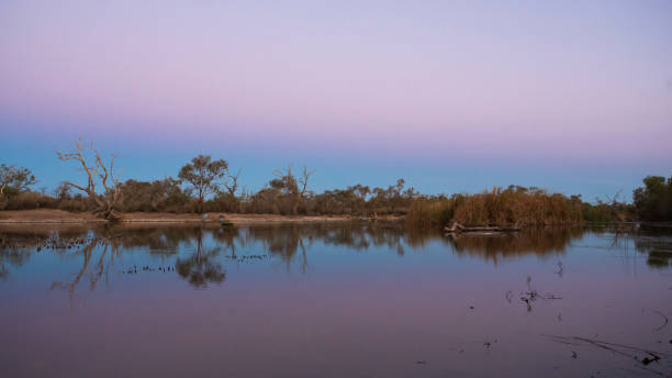 istock Dramatic sky, trees in silhouette and reflections on water at dawn in the Australian Outback 1167117673