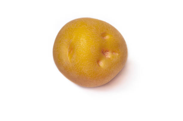 Human health staple food, potatoes
