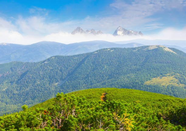 istock beautiful green mountain valley landscape 1167123514