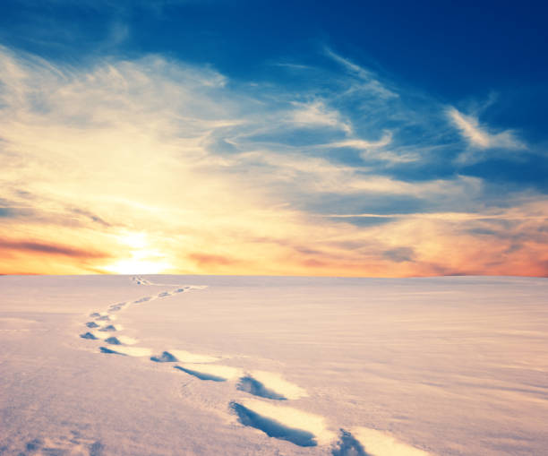 istock winter snowbound plain with human track at the sunset 1167123535